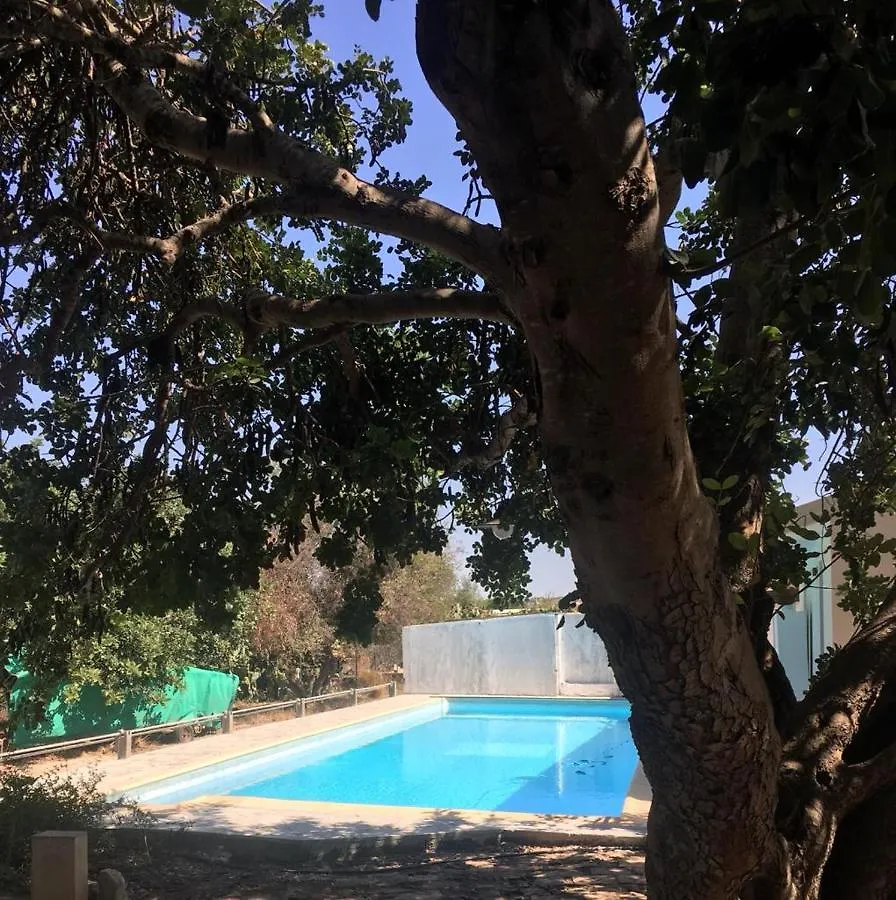 La Casa Del Carrubo Con Piscina Condivisa In Campagna Vicino Al Mare - Canestanco 18 Santa Croce Camerina