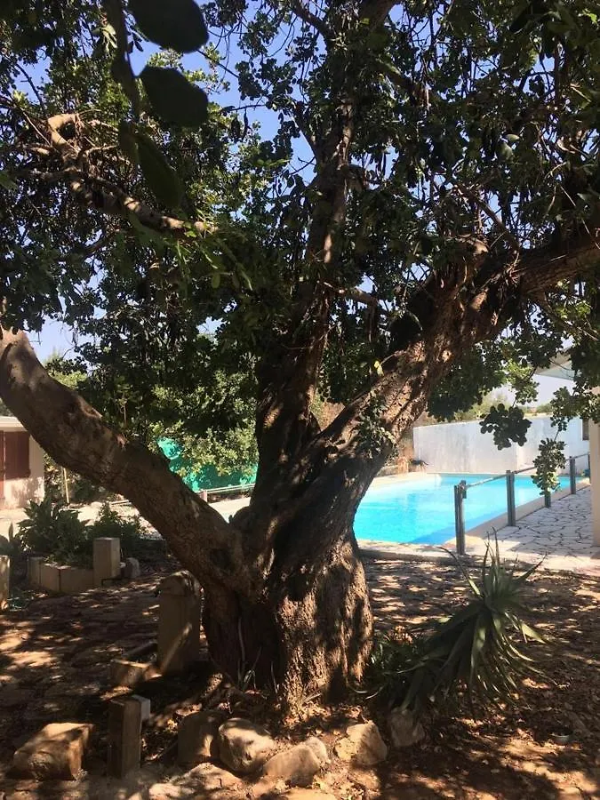 Holiday home La Casa Del Carrubo Con Piscina Condivisa In Campagna Vicino Al Mare - Canestanco 18 Santa Croce Camerina Italy