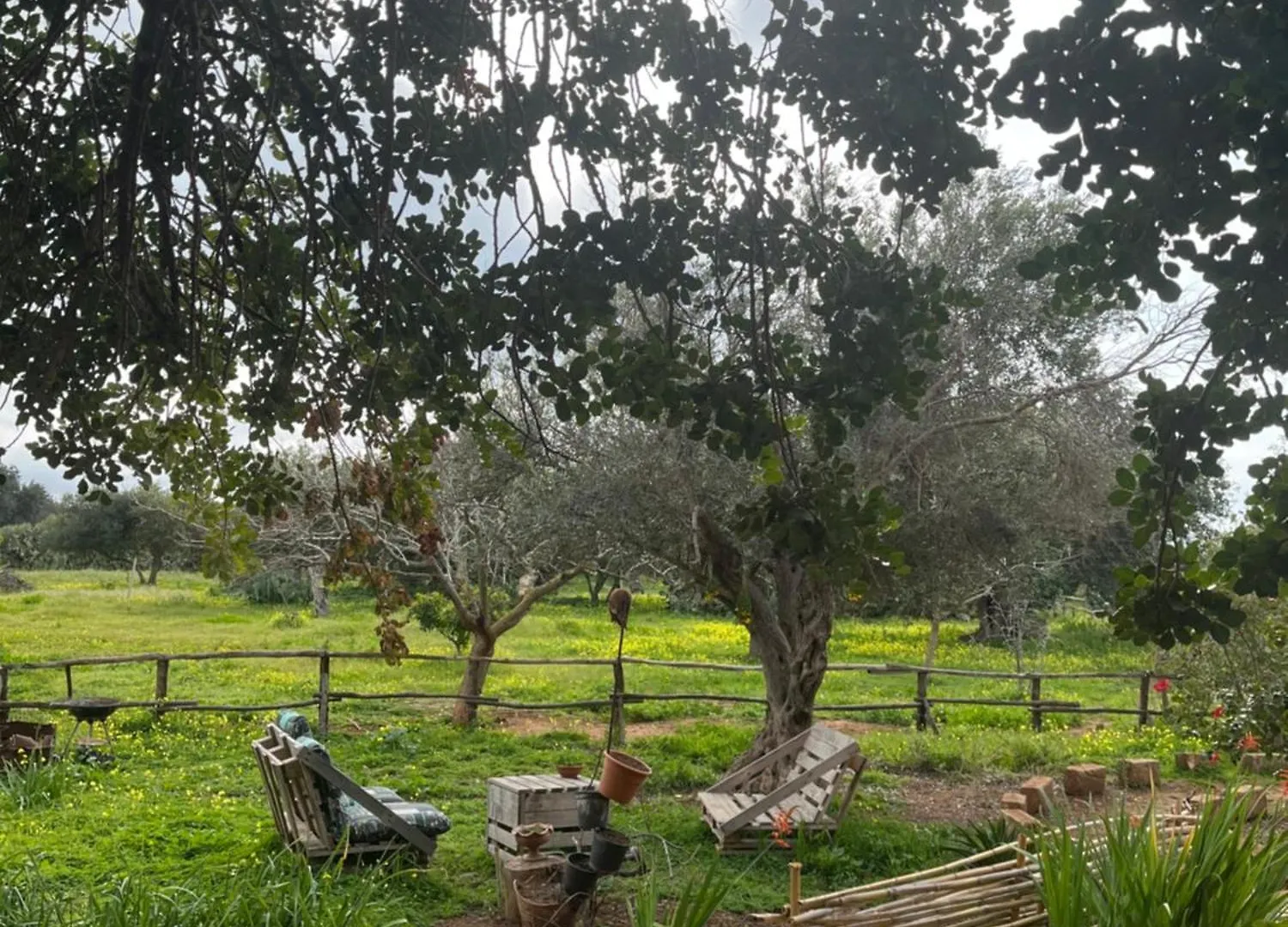 Semesterbostad La Casa Del Carrubo Con Piscina Condivisa In Campagna Vicino Al Mare - Canestanco 18 Santa Croce Camerina
