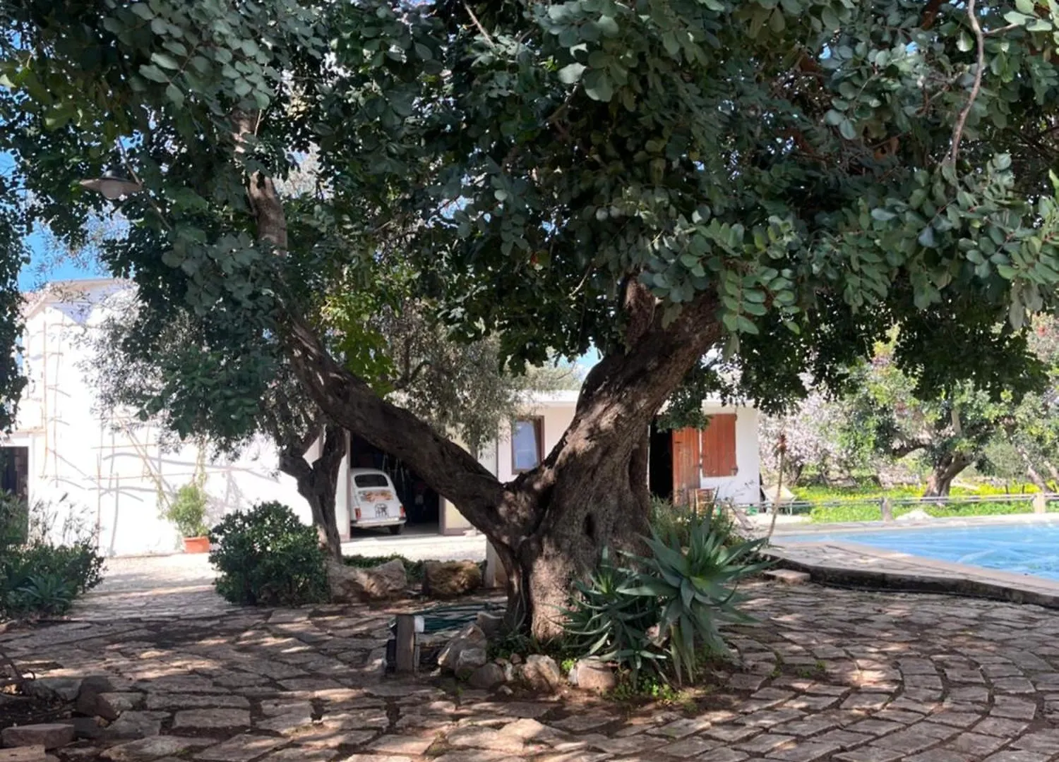 La Casa Del Carrubo Con Piscina Condivisa In Campagna Vicino Al Mare - Canestanco 18 Santa Croce Camerina 0*,  Italien